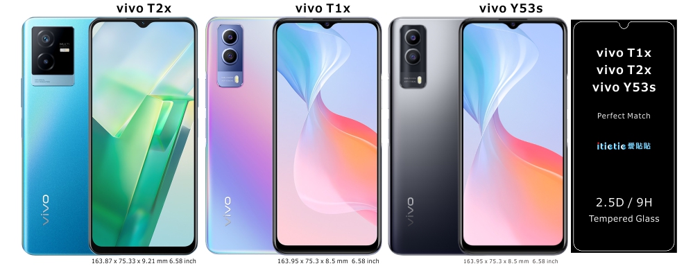 vivo T1x