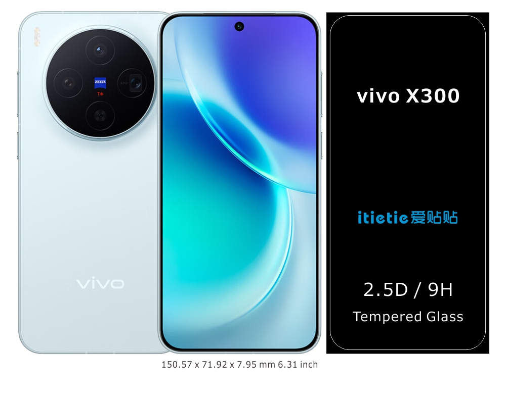 vivo X300